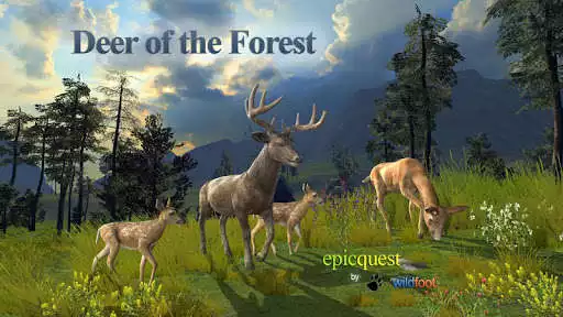 Play Deer of the Forest  and enjoy Deer of the Forest with UptoPlay