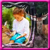 Free play online Deer Picture Frames APK