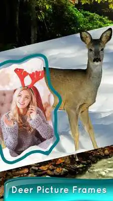 Play Deer Picture Frames