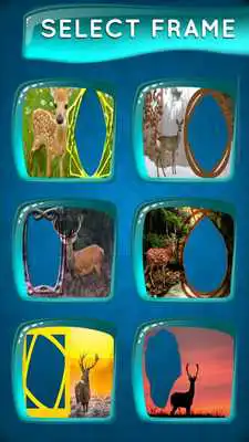 Play Deer Picture Frames