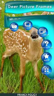 Play Deer Picture Frames
