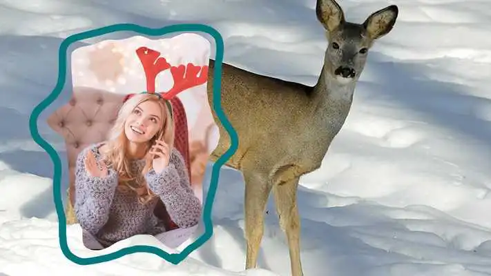 Play Deer Picture Frames