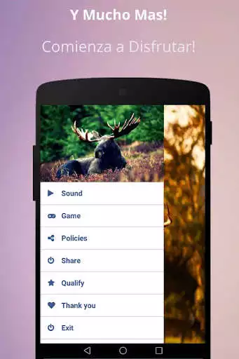 Play Deer Sound