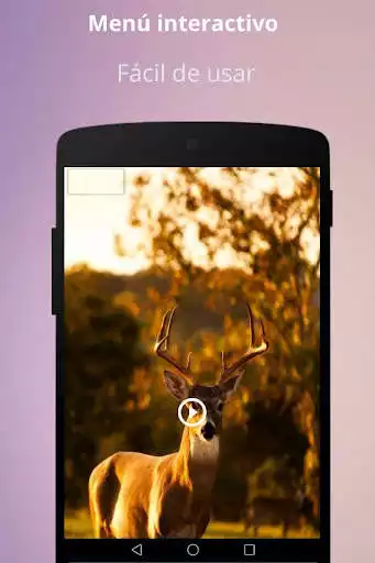 Play Deer Sound