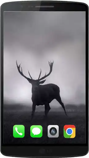 Play Deer The Best HD Walpaper 2021  and enjoy Deer The Best HD Walpaper 2021 with UptoPlay