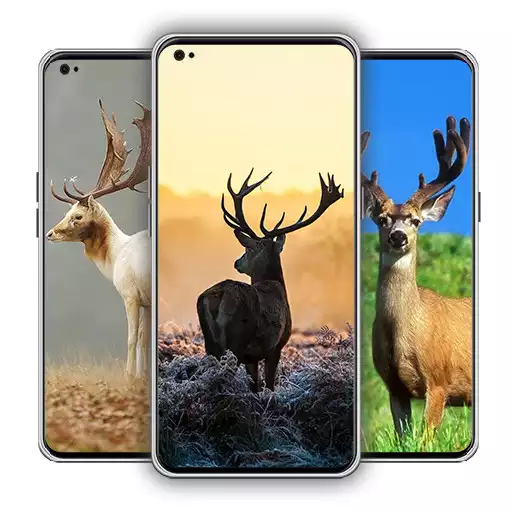 Play Deer Wallpaper APK Play Deer Wallpaper APK