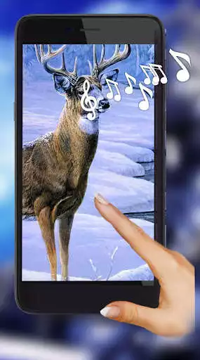 Play Deer Winter