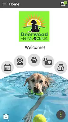 Play Deerwood Vet and enjoy Deerwood Vet with UptoPlay Play Deerwood Vet and enjoy Deerwood Vet with UptoPlay