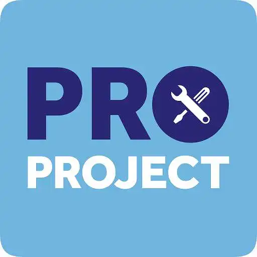 Play Defects & Snagging - ProProject APK