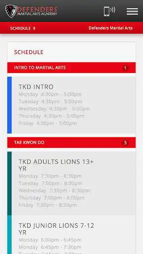 Play Defenders Martial Arts