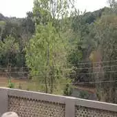 Free play online DEGITAL GO APK