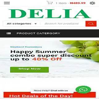 Play Delia Store  and enjoy Delia Store with UptoPlay