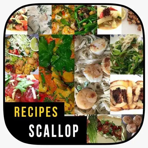 Play Delicious Scallop Recepeps APK Play Delicious Scallop Recepeps APK