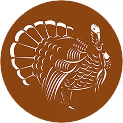 Play DeliTurkey APK
