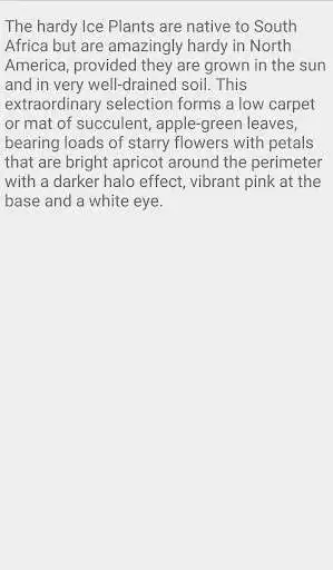 Play Delosperma Fire Spinner as an online game Delosperma Fire Spinner with UptoPlay