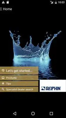 Play Delphin