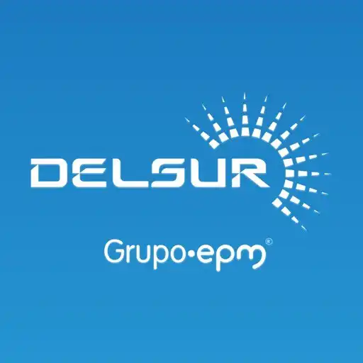 Play Delsur APK