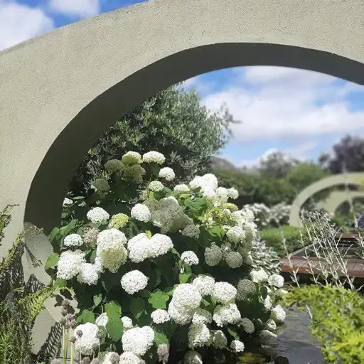 Play Delta Sensory Gardens APK Play Delta Sensory Gardens APK