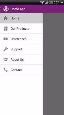 Play Demo Website to App