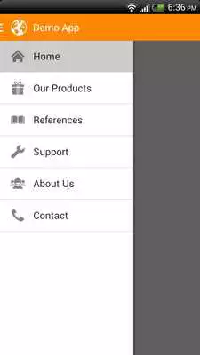 Play Demo Website to App