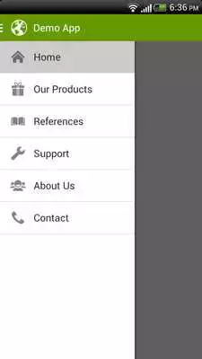 Play Demo Website to App