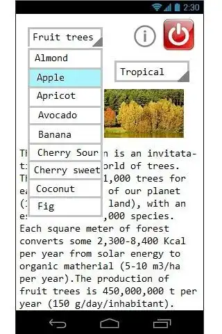 Play Dendrologic as an online game Dendrologic with UptoPlay