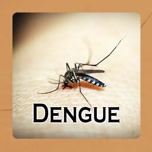 Play Dengue - Causes, Diagnosis, an APK