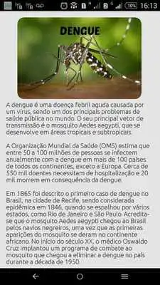 Play Dengue