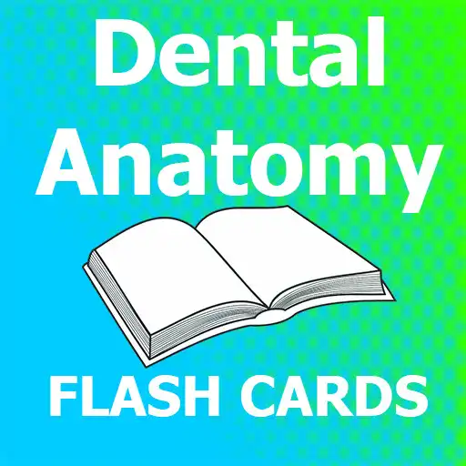 Play Dental Anatomy Flashcards APK Play Dental Anatomy Flashcards APK