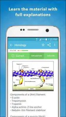 Play Dental Boards Mastery: NBDE I