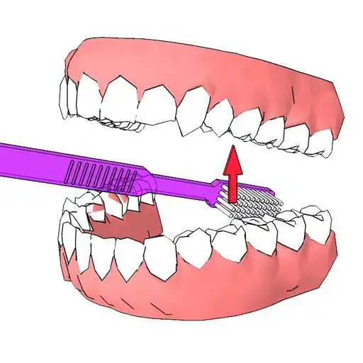 Free play online DentalCluj Brush Assistant APK