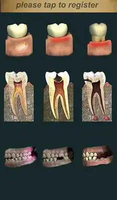 Play Dental Pain Lite