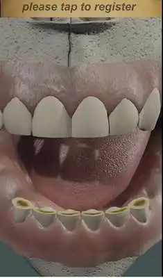 Play Dental Pain Lite