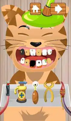 Play Dentist Cats