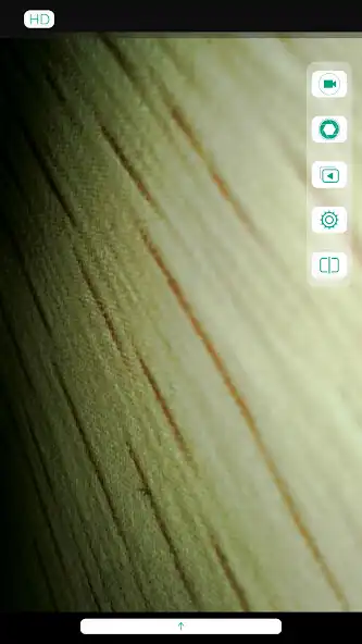 Play DentRx  and enjoy DentRx with UptoPlay