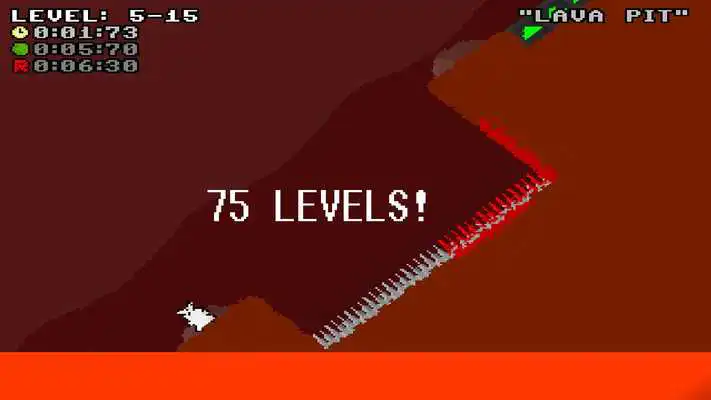 Play Deranged Rabbits