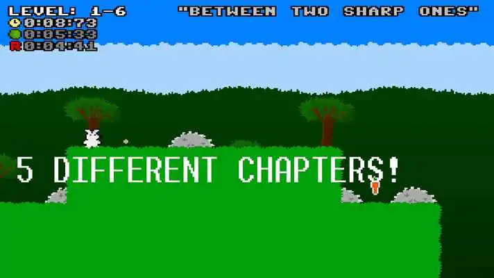 Play Deranged Rabbits