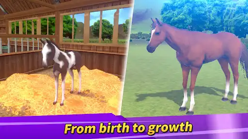 Play Derby Life : Horse racing as an online game Derby Life : Horse racing with UptoPlay