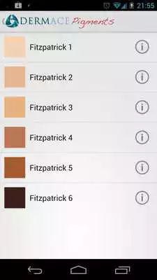 Play Dermace Pigment Guide