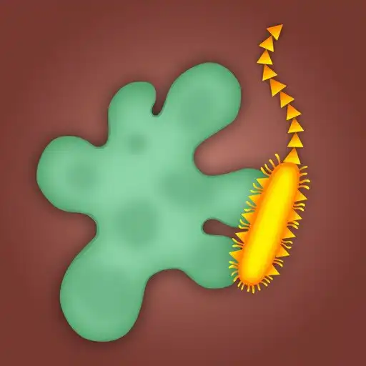 Play Dermis Defense APK