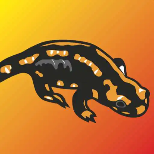Play De Salamander APK Play De Salamander APK