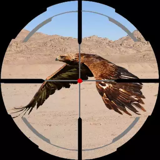 Free play online Desert Birds Sniper Hunter  APK