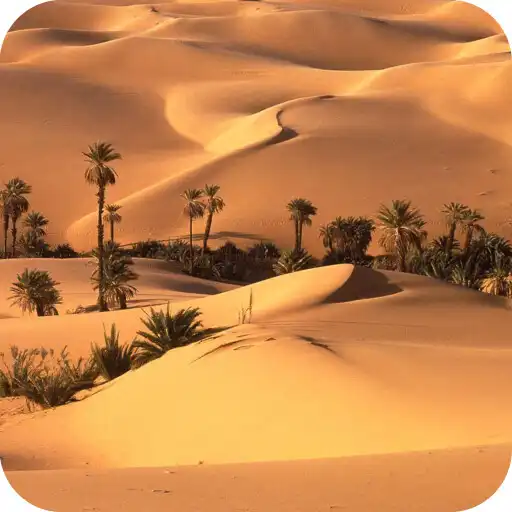 Play Desert HD Wallpaper APK