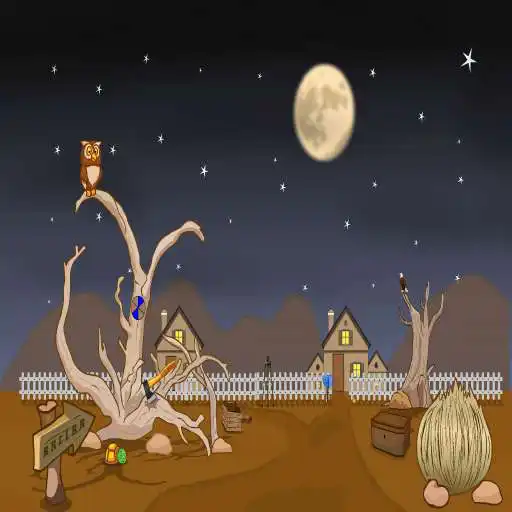 Free play online Desert Owl Rescue  APK