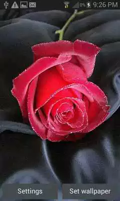 Play Desert Rose Live Wallpaper