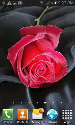 Play Desert Rose Live Wallpaper