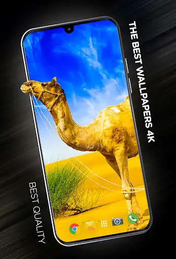 Play Desert Wallpapers in 4K  and enjoy Desert Wallpapers in 4K with UptoPlay