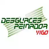 Free play online Desguaces Peinador APK