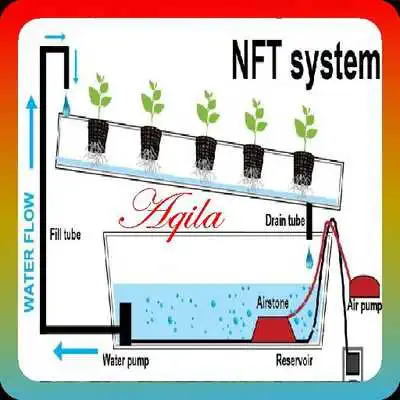 Play design hydroponic