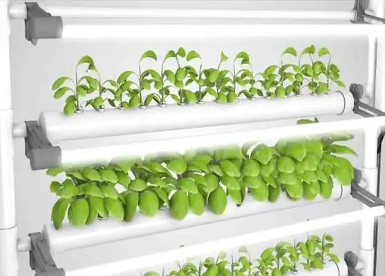 Play design hydroponic
